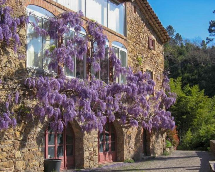 Chambre D'Hote Mas D'Alzon A St Jean Du Pin La Barriere Luaran gambar